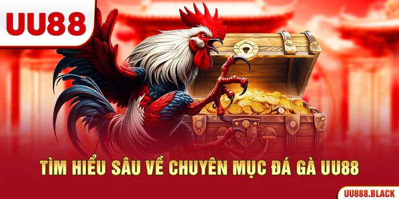 Tìm hiểu sâu về chuyên mục đá gà UU88